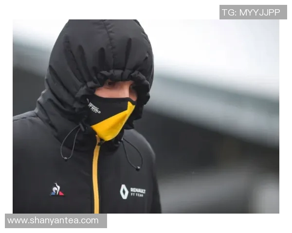 安嫩与汉密尔顿激战正酣比分揭晓引发球迷热议