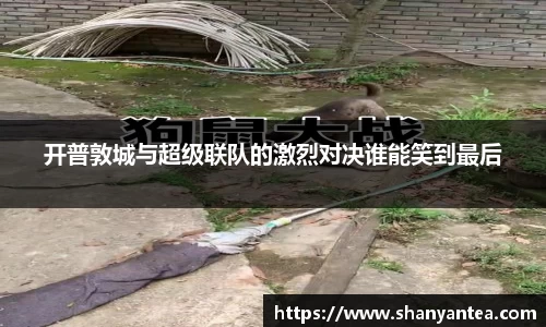 sunbet中国官网